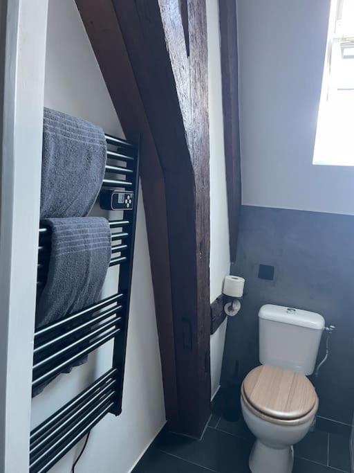 Apartament Duplex Bord De L'Eure - Parking Inclus - Jolie Vue Sur La Cathedrale Chartres Zewnętrze zdjęcie