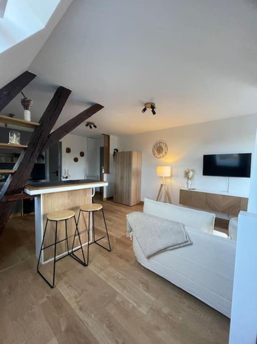 Apartament Duplex Bord De L'Eure - Parking Inclus - Jolie Vue Sur La Cathedrale Chartres Zewnętrze zdjęcie
