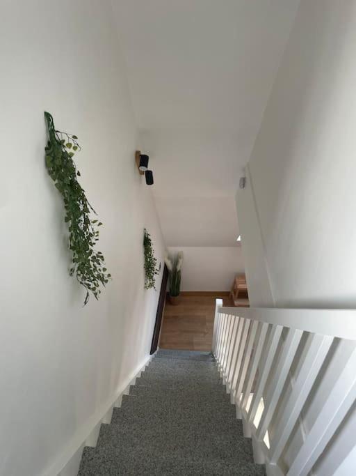Apartament Duplex Bord De L'Eure - Parking Inclus - Jolie Vue Sur La Cathedrale Chartres Zewnętrze zdjęcie