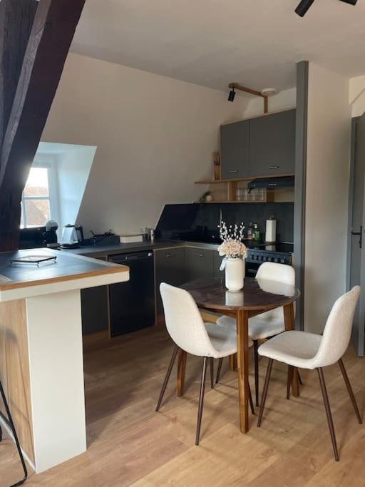 Apartament Duplex Bord De L'Eure - Parking Inclus - Jolie Vue Sur La Cathedrale Chartres Zewnętrze zdjęcie