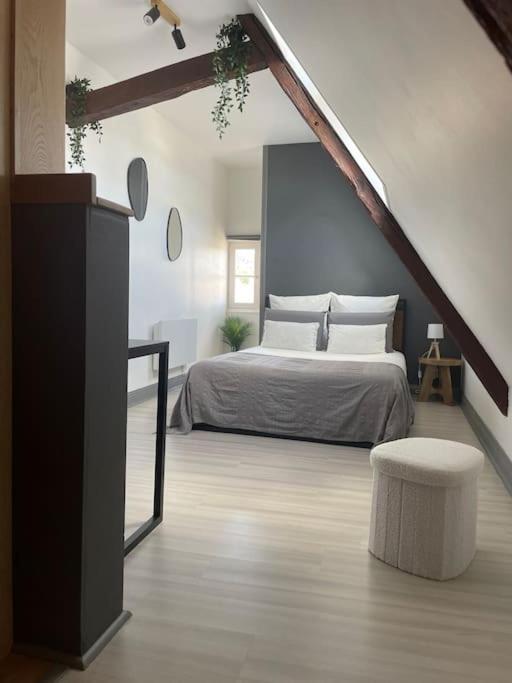 Apartament Duplex Bord De L'Eure - Parking Inclus - Jolie Vue Sur La Cathedrale Chartres Zewnętrze zdjęcie